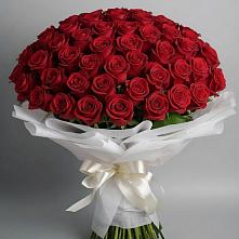 Букет 101 Красная роза Блэк Мэджик #REPLACE_PRED# Лакинске