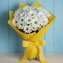 Букет цветов из:  Хризантемы в Лакинске