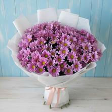 Букет цветов из:  Хризантемы в Лакинске