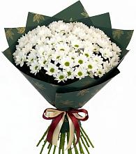 Букет цветов из:  Хризантемы в Лакинске