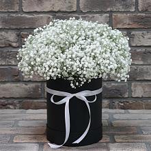 Цветочная композиция из Гипсофила в шляпной коробке в Лакинске