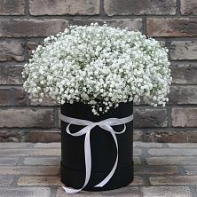 Цветочная композиция из Гипсофила в шляпной коробке в Лакинске