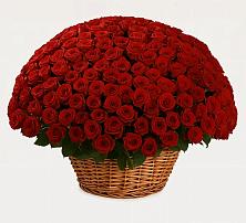 Премиум букет из: Розы в Лакинске