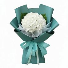 Букет цветов из:  Гортензия в Лакинске